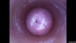 Kira - Kinky selfie (endoscope vagina cam video)