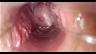 orgasmo vaginal